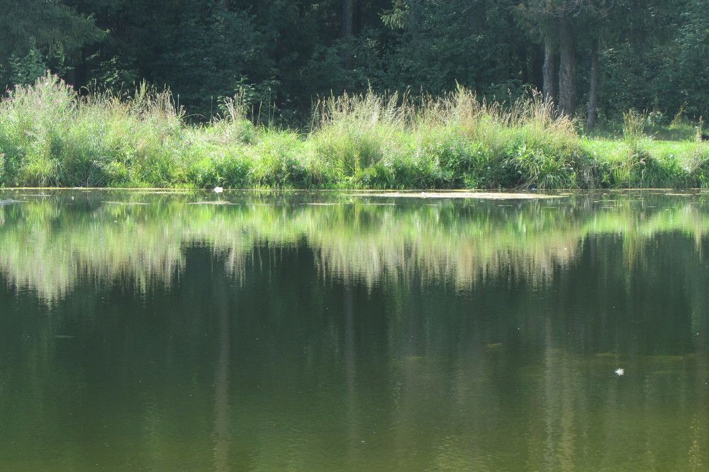 Photograph by Татьяна