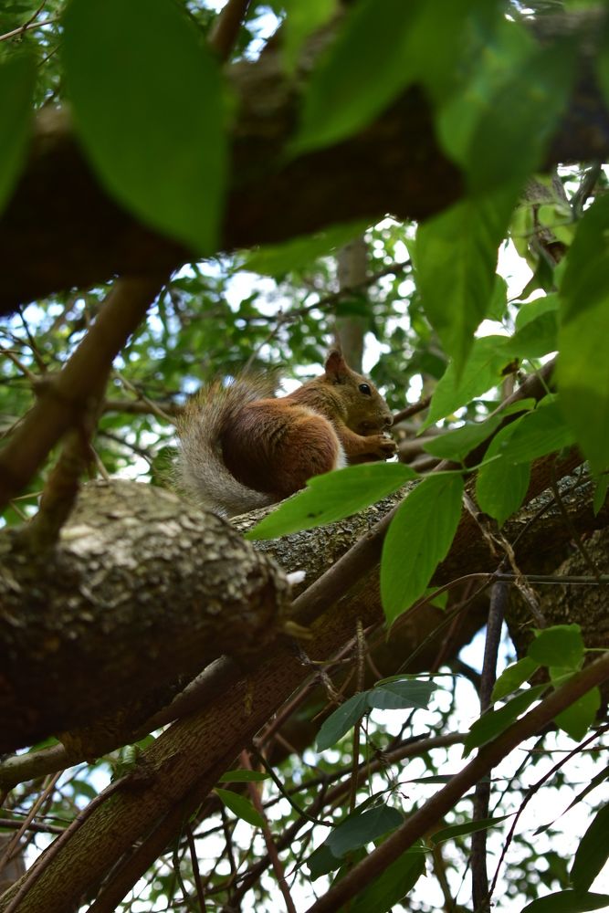 Photograph by Любовь Панфилова