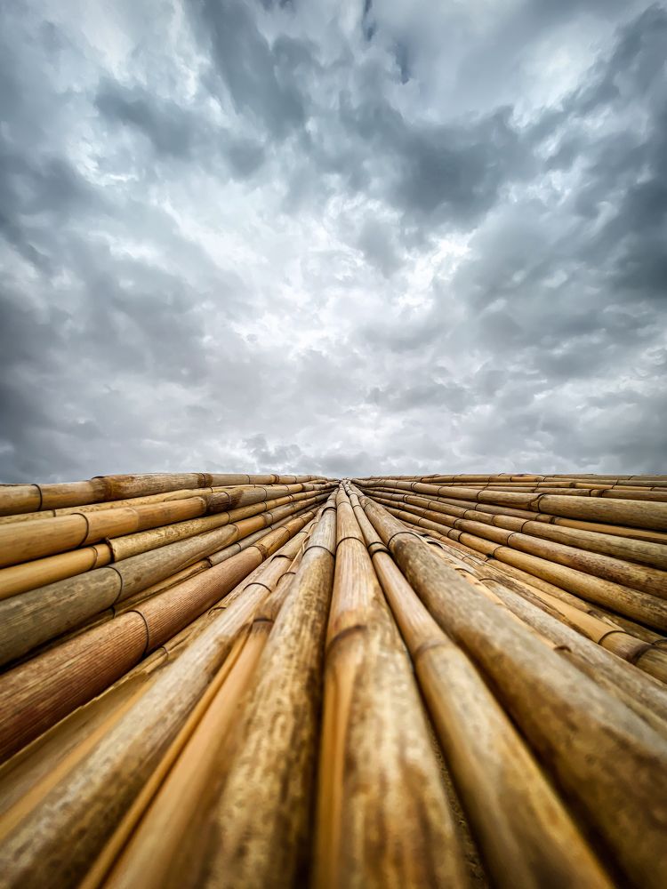 Photograph by Marina David