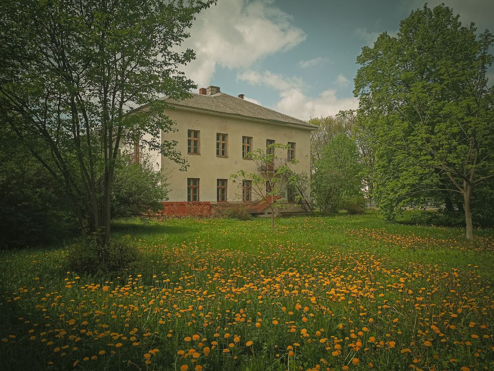 Фотография автора Ксения Вабищевич