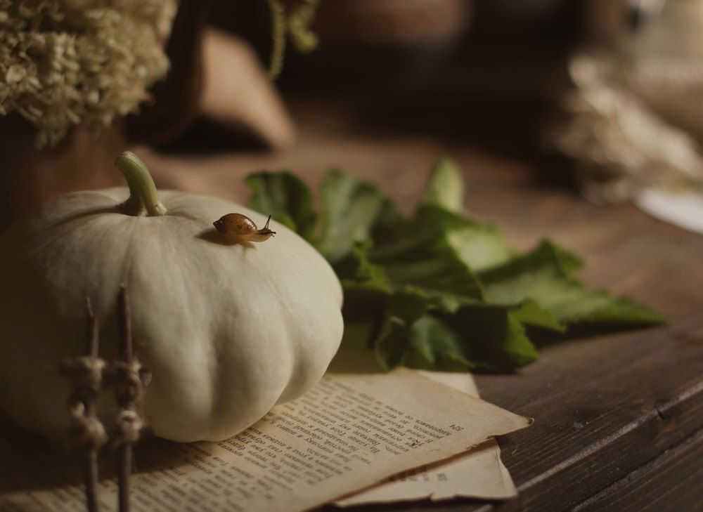 Photograph by Ирина Столбовая