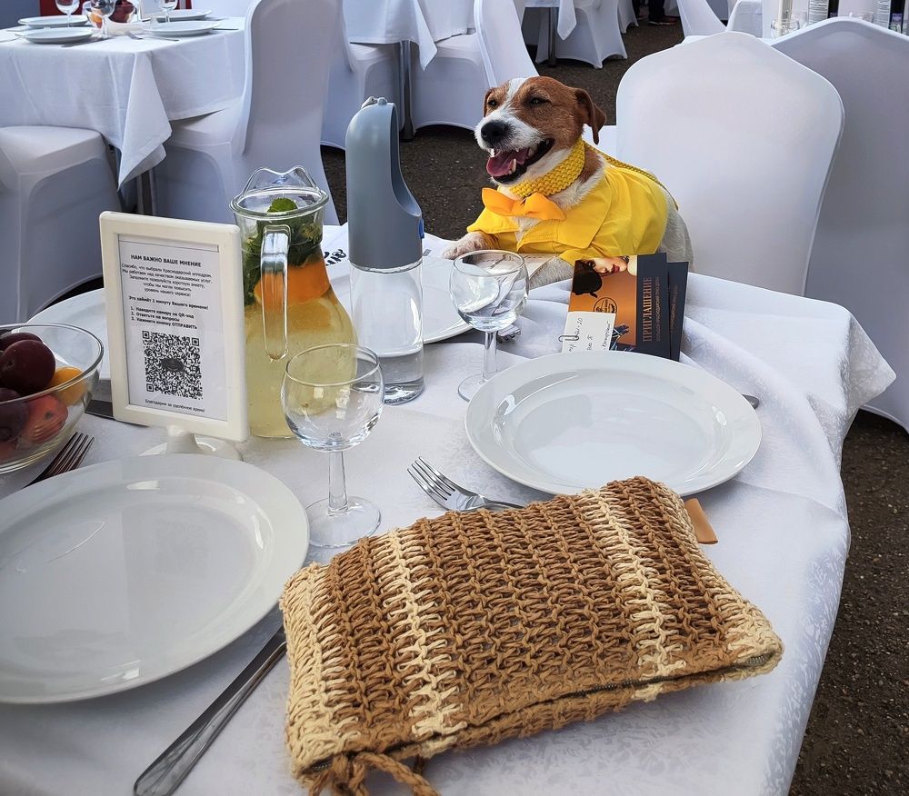 Photograph by Владимир Вялков