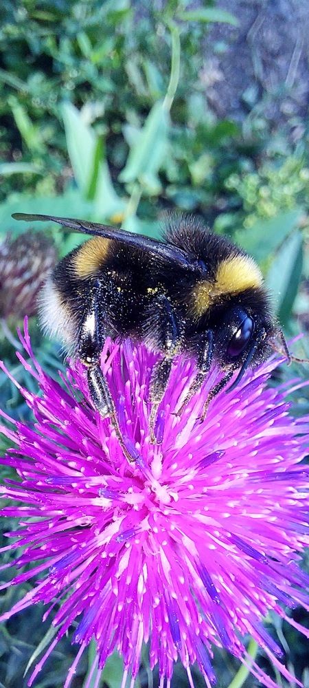 Фотография автора Сергей Можаев