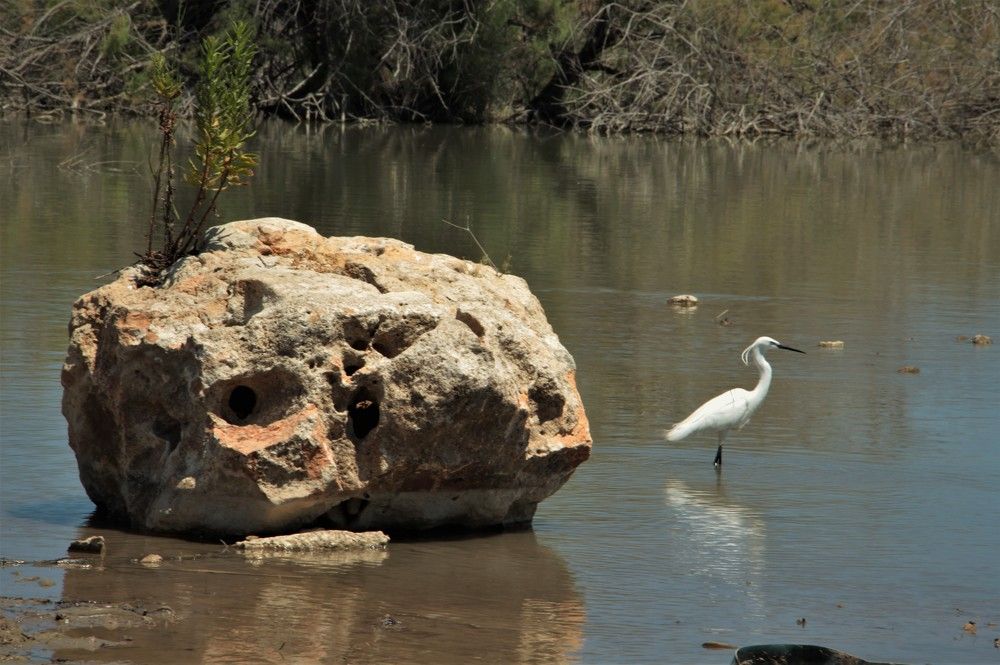 Photograph by Людмила Бутова