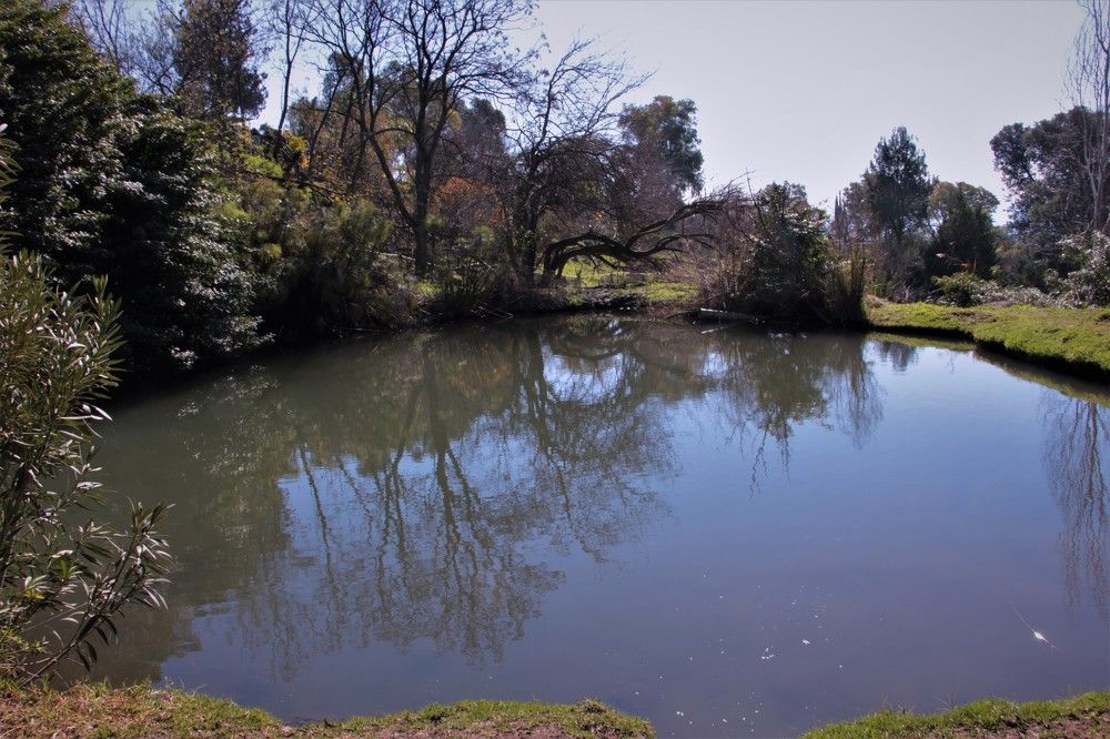 Photograph by Людмила Бутова