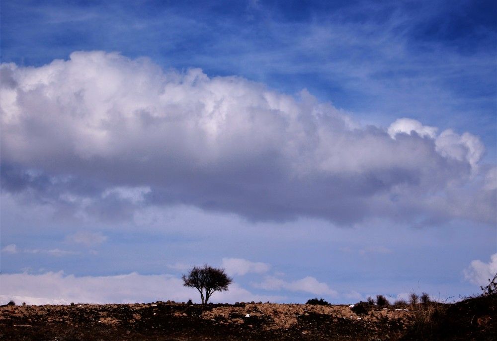 Photograph by Людмила Бутова