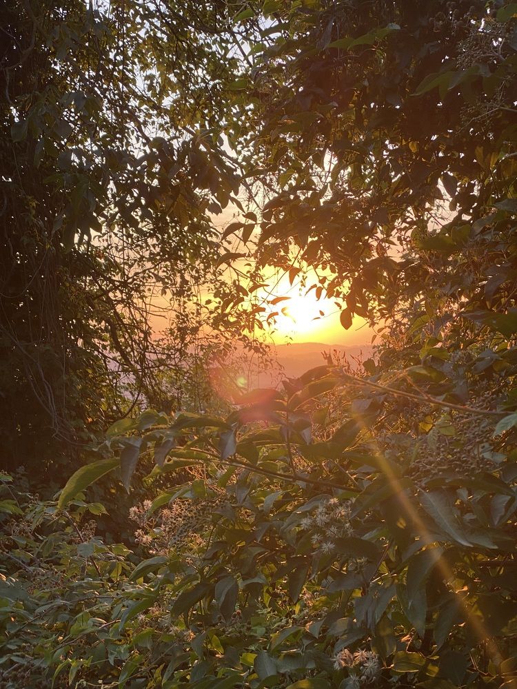 Photograph by 4everTeen