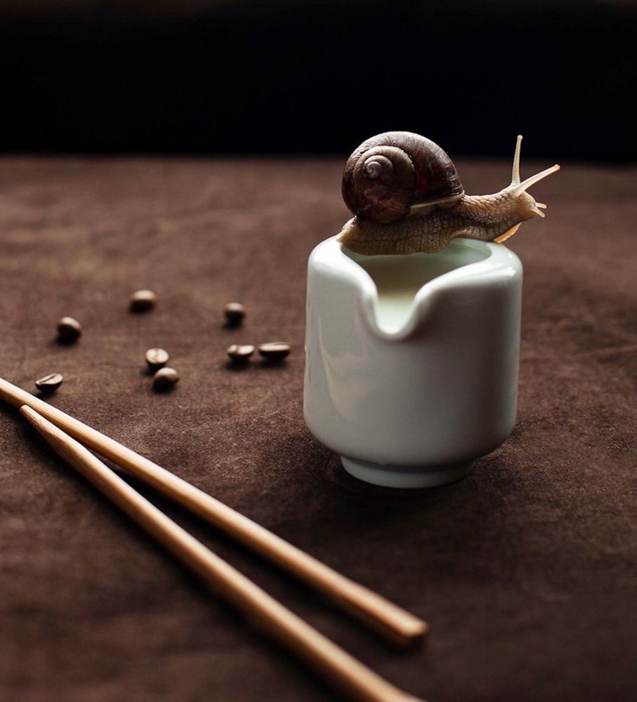 Фотография автора Galina Sa