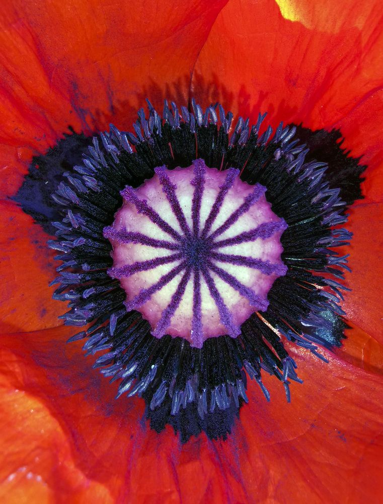 Photograph by Ева Мельникова