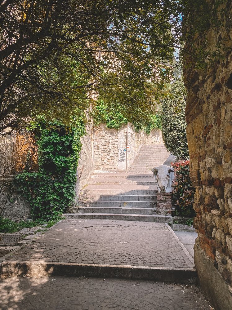 Photograph by 4everTeen