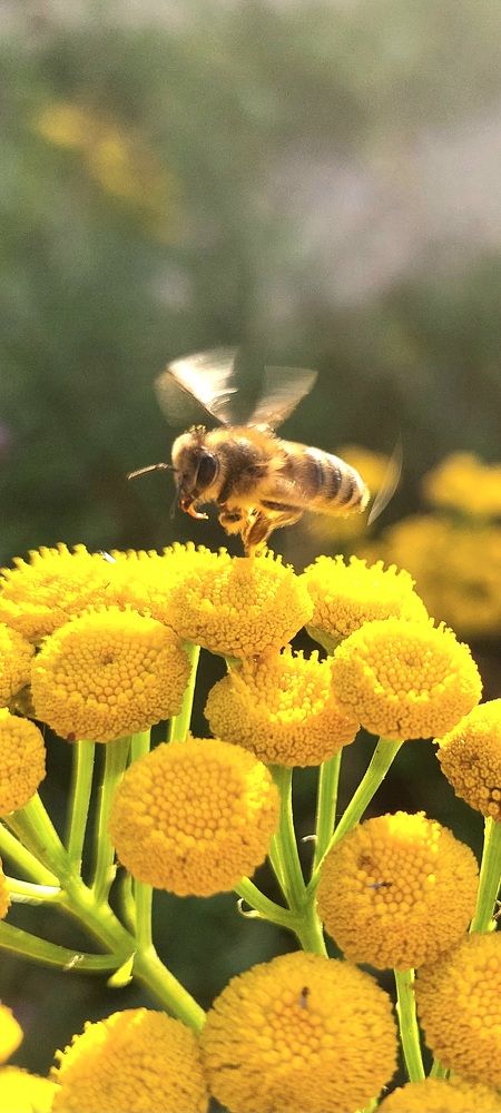 Фотография автора Сергей Можаев