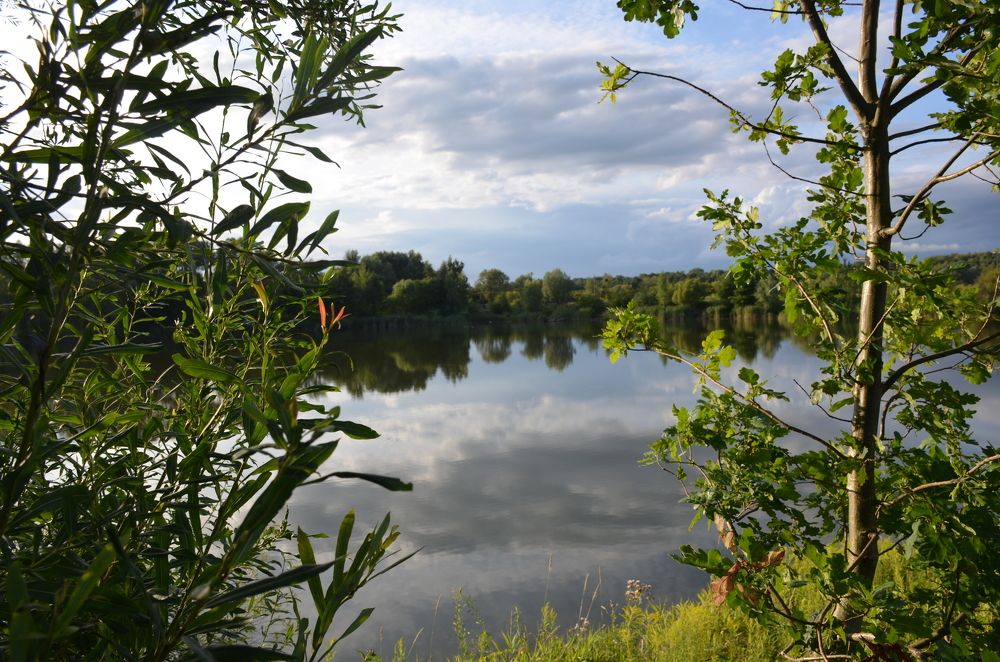 Photograph by Надежда Каравайцева