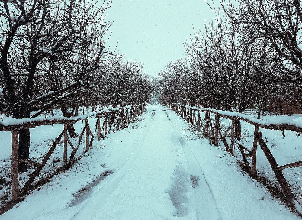 Photograph by Farzad Ajori