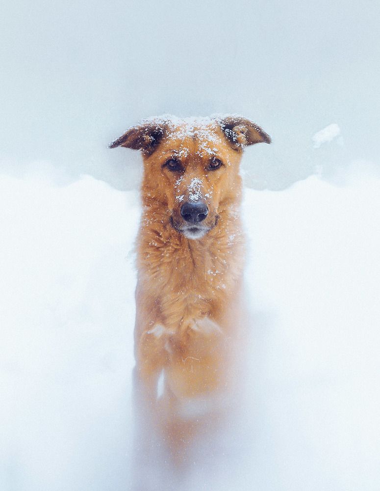 Photograph by Farzad Ajori