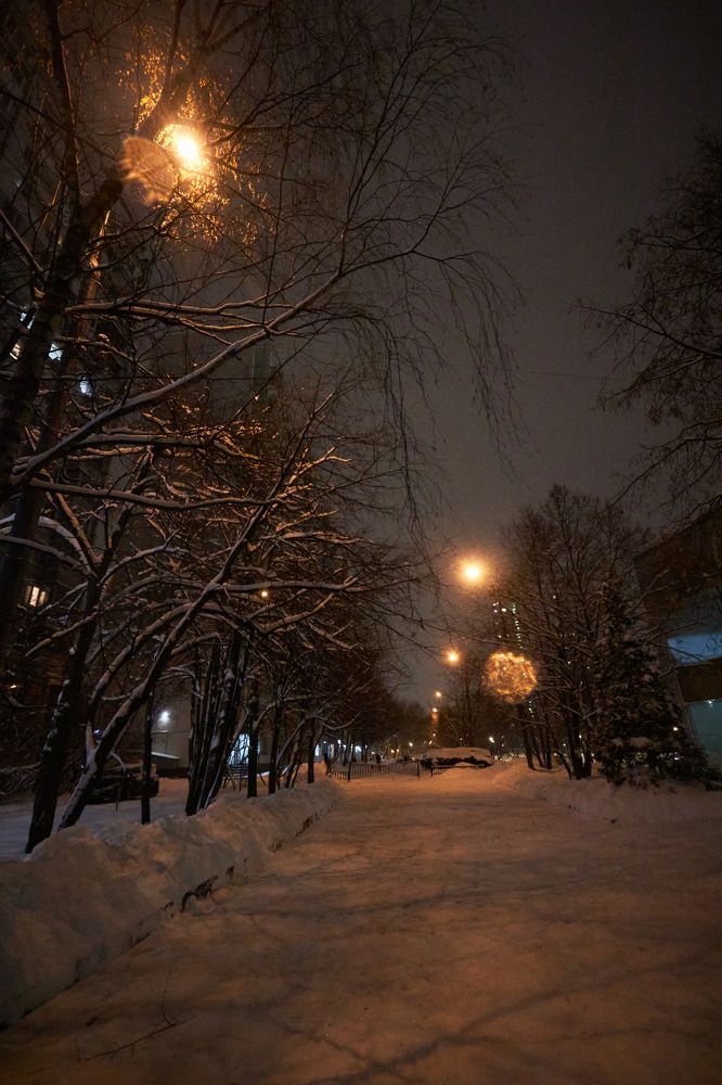 Photograph by Inna Tatarchenko