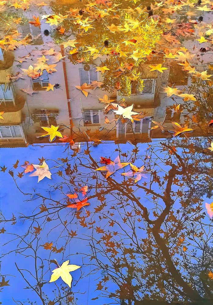 Photograph by Ольга Тихонова