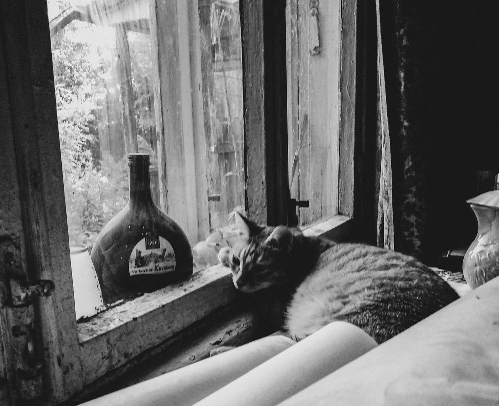 Photograph by Наталья Трофимова