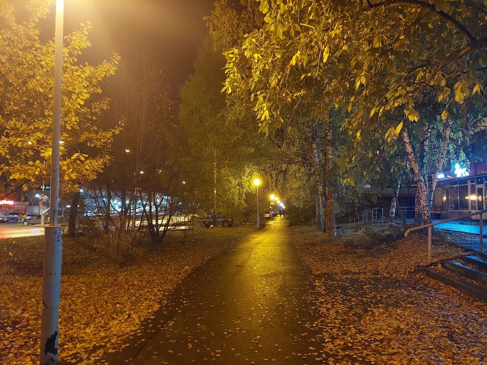 Вечерняя прогулка.
