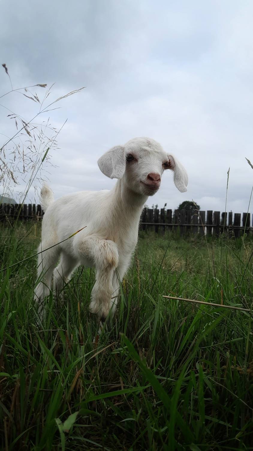 Photo #9394903