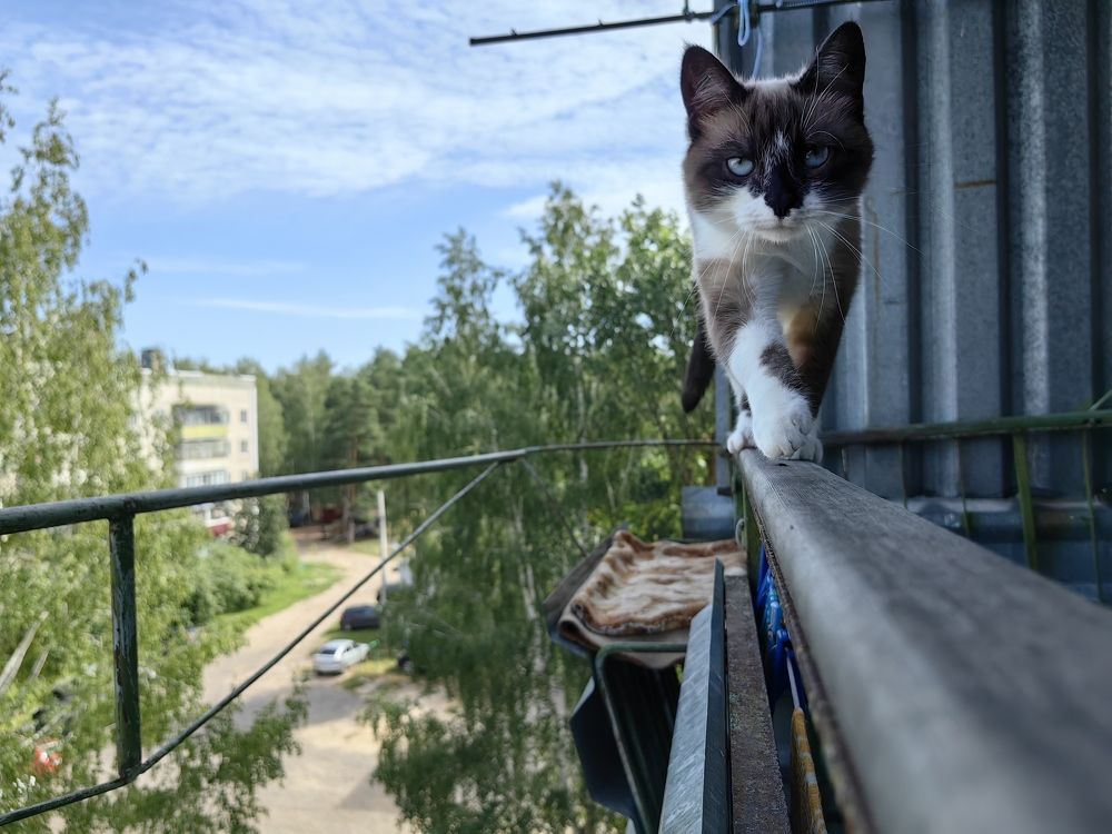 Photograph by Мудрилов Антон