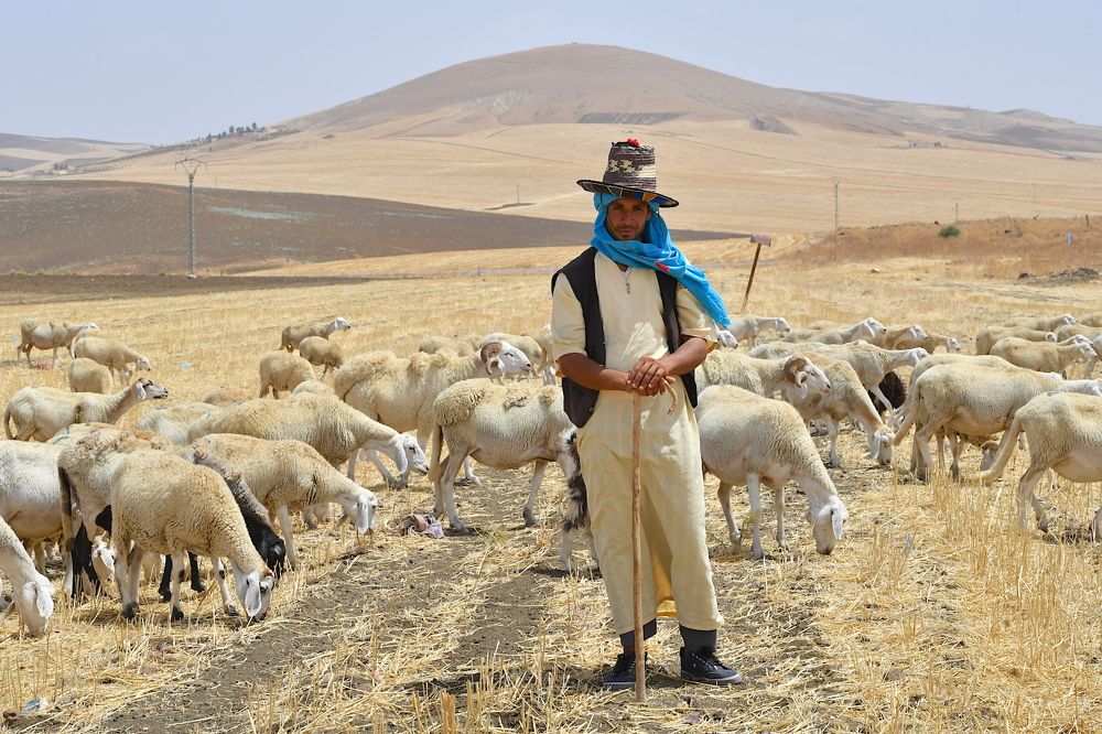 Photograph by Kaouche Mohamed