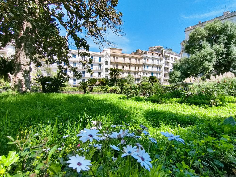 Photograph by Kaouche Mohamed