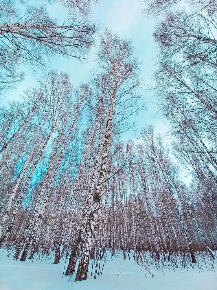 Photograph by Алевтина