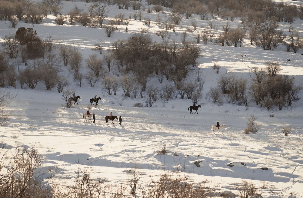 Photograph by Чунина Наталья
