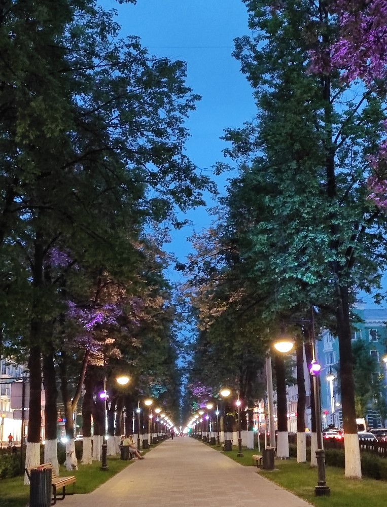 Фиолетовый вечер