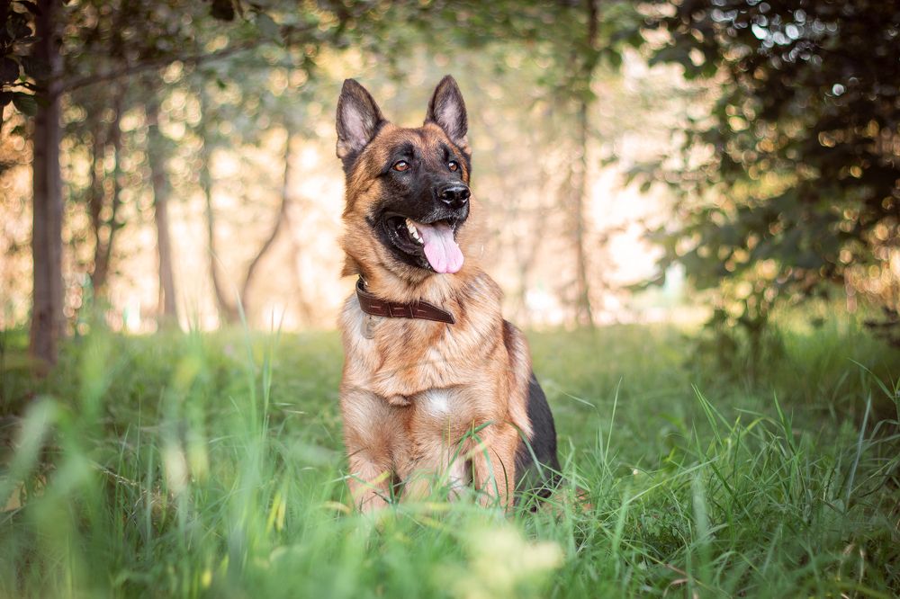 Photograph by Любовь Головина