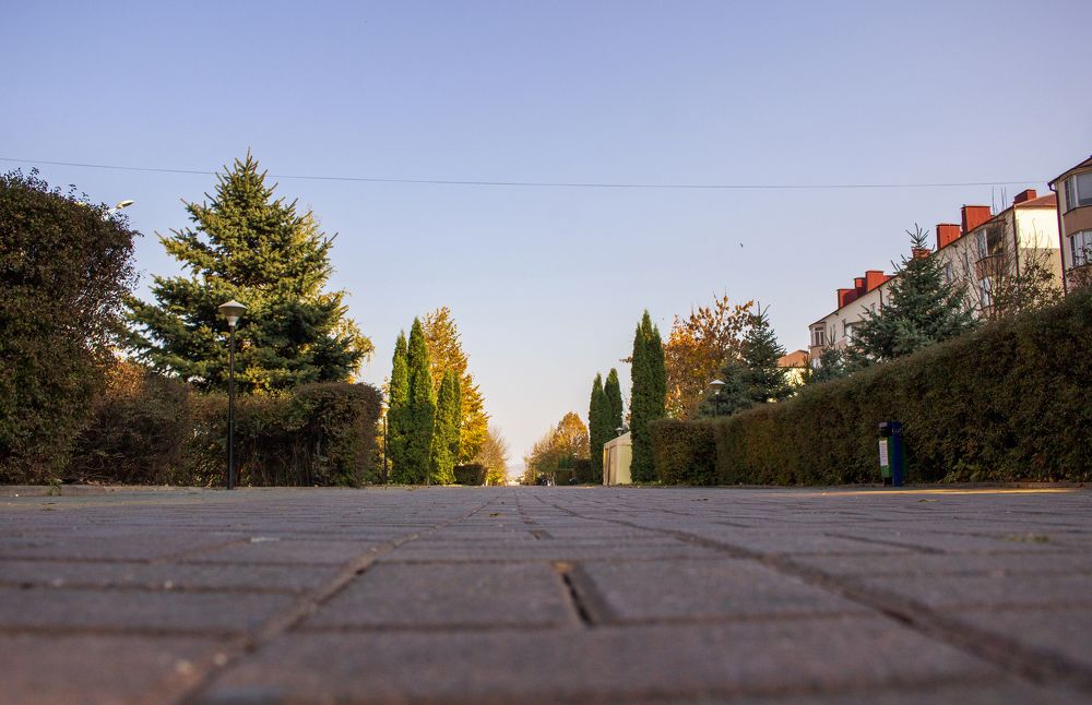 Photograph by Adam Yandiev