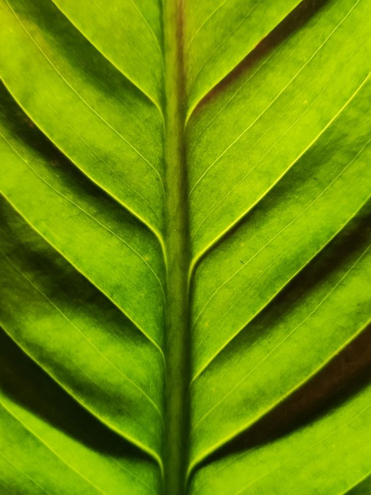 Фотография автора Мария Капатурина