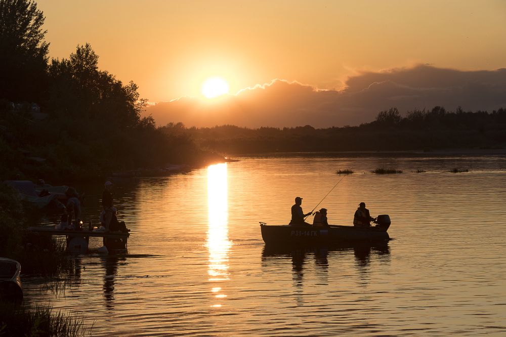 Photograph by Елена Коврижных