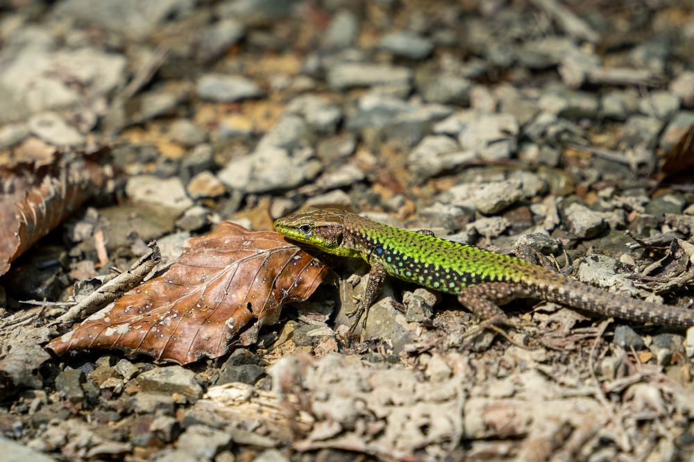 Photograph by Дмитрий Цикин