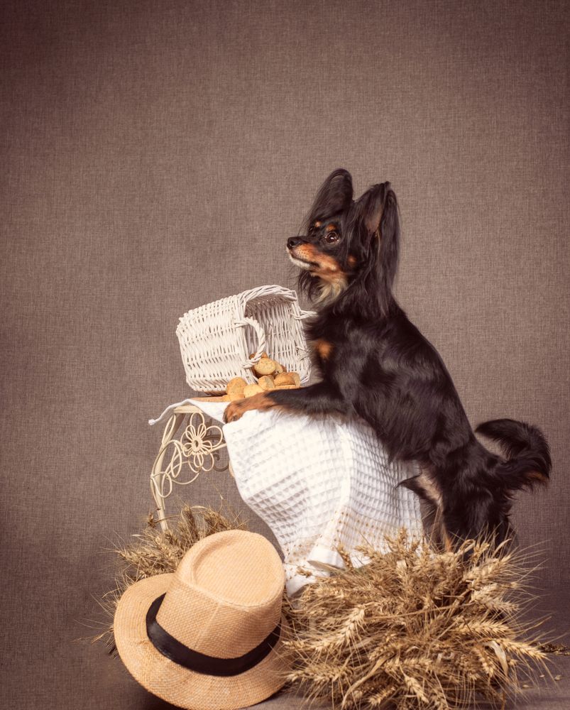 Photograph by наталья залогина