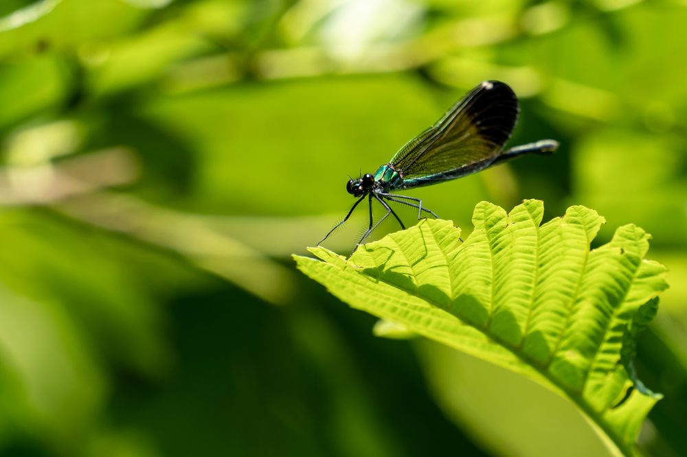 Photograph by Дмитрий Цикин