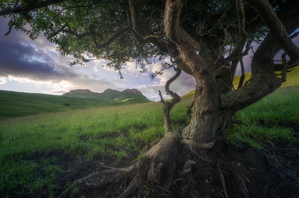 Photograph by Орнатский Александр