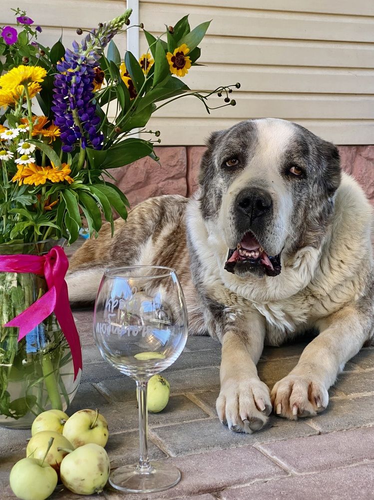 Photograph by Ирина Сорока