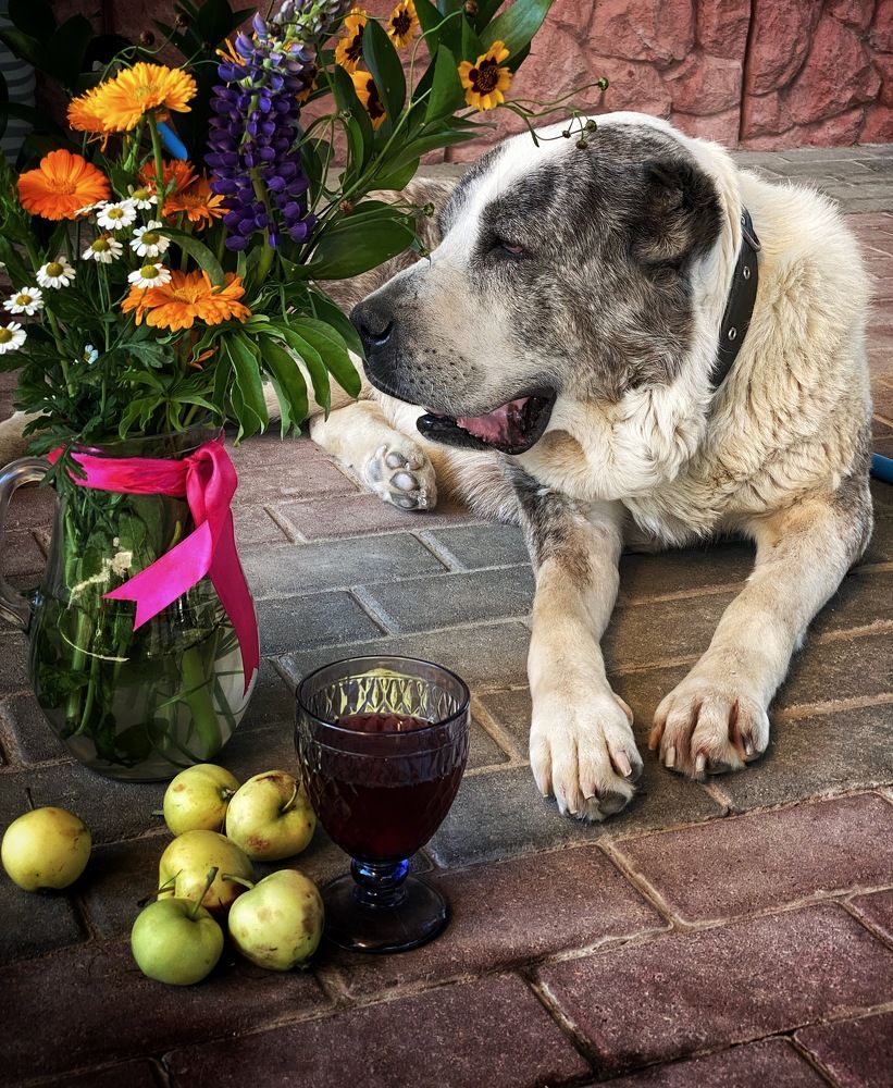 Photograph by Ирина Сорока