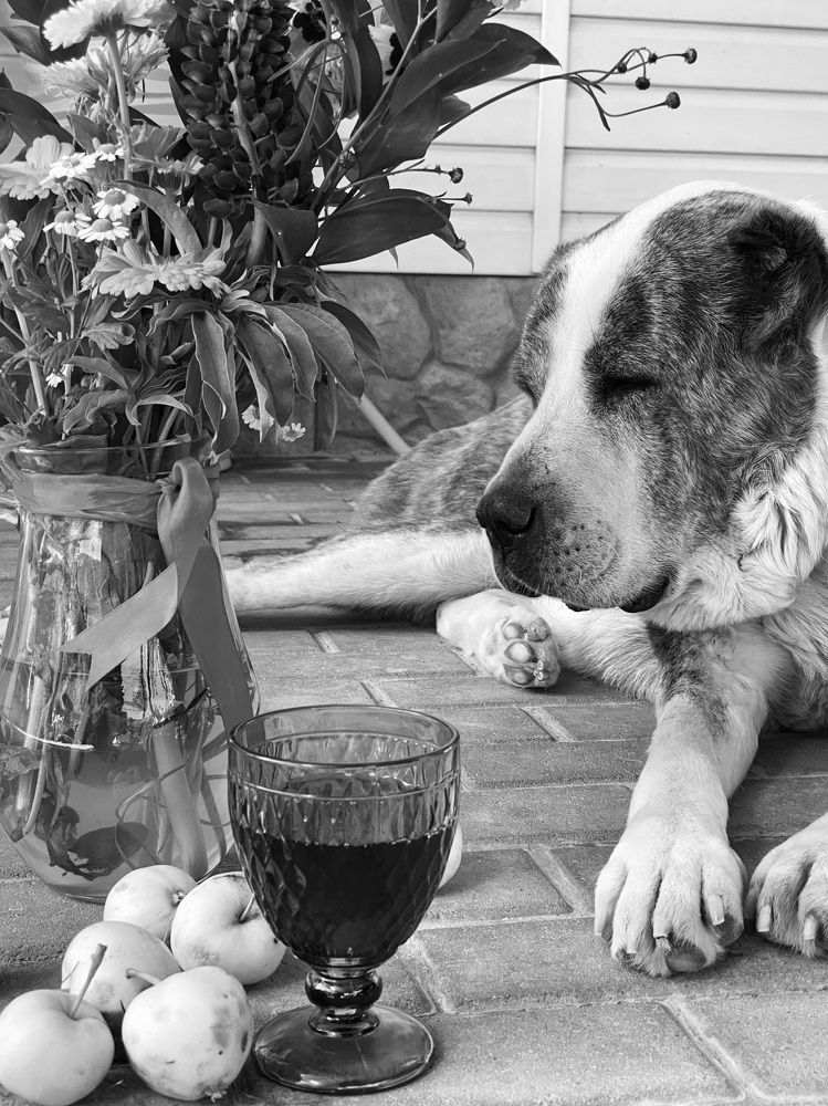 Photograph by Ирина Сорока