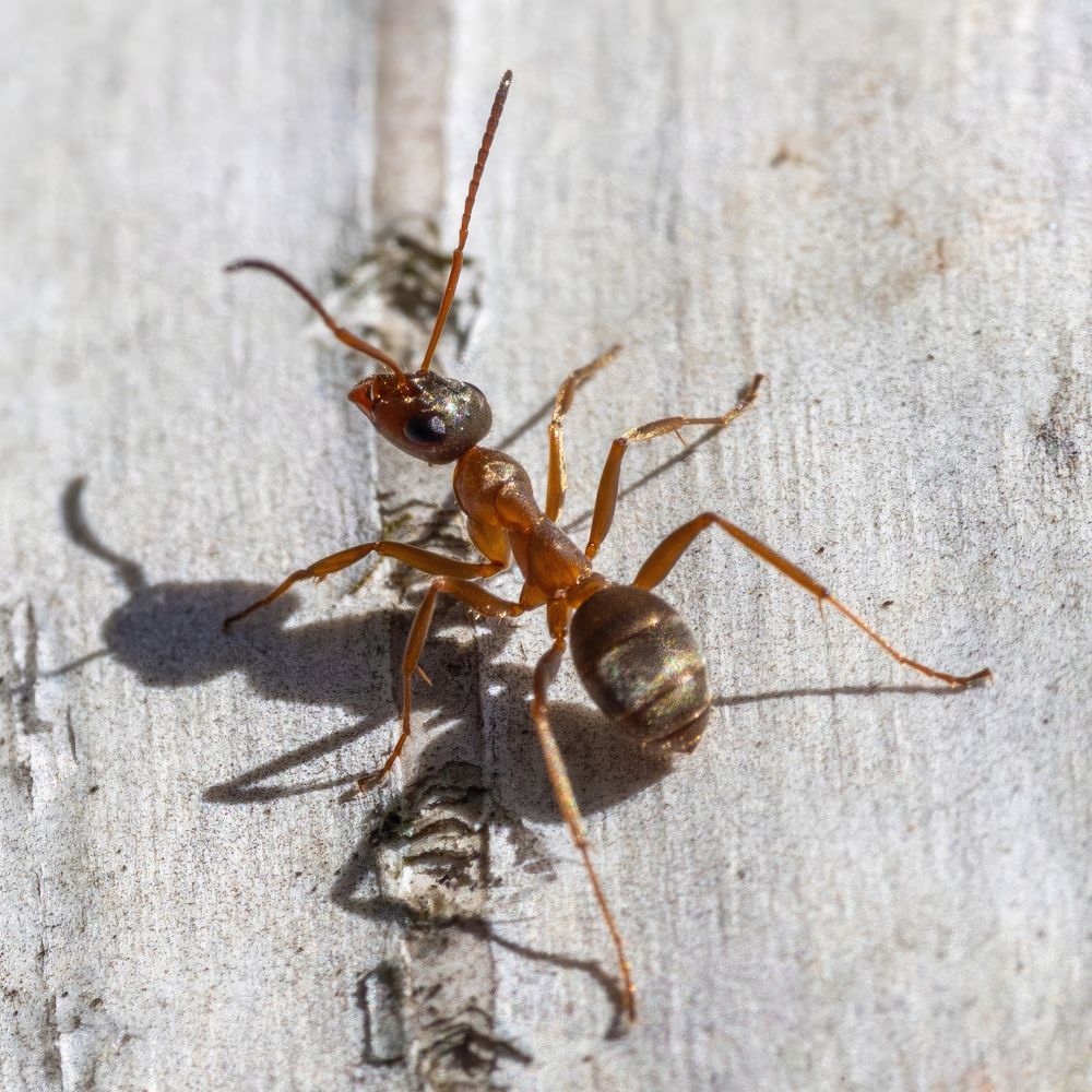 Photograph by Radovan Dziak