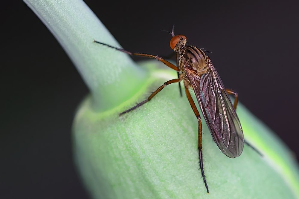 Photograph by Radovan Dziak