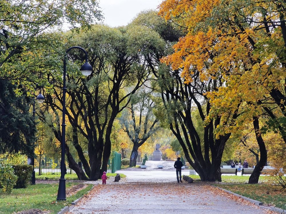 Взросле детсво