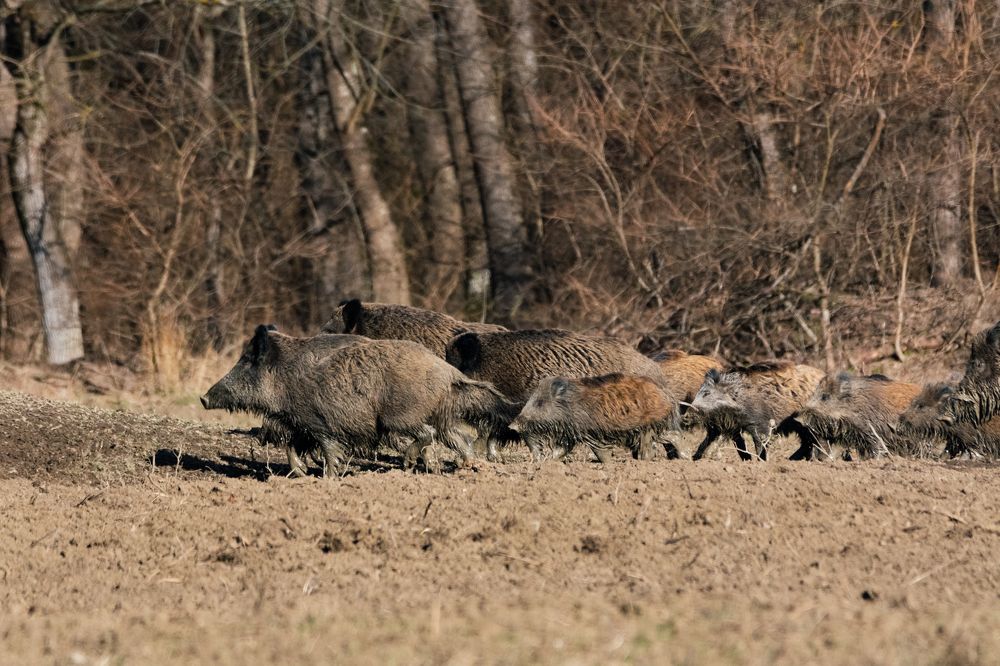 Photograph by Petar Chapkanov