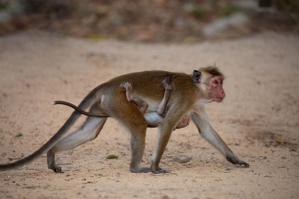 Photograph by Ангелина Ильичева