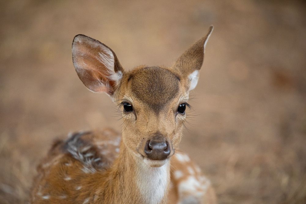 Photograph by Ангелина Ильичева