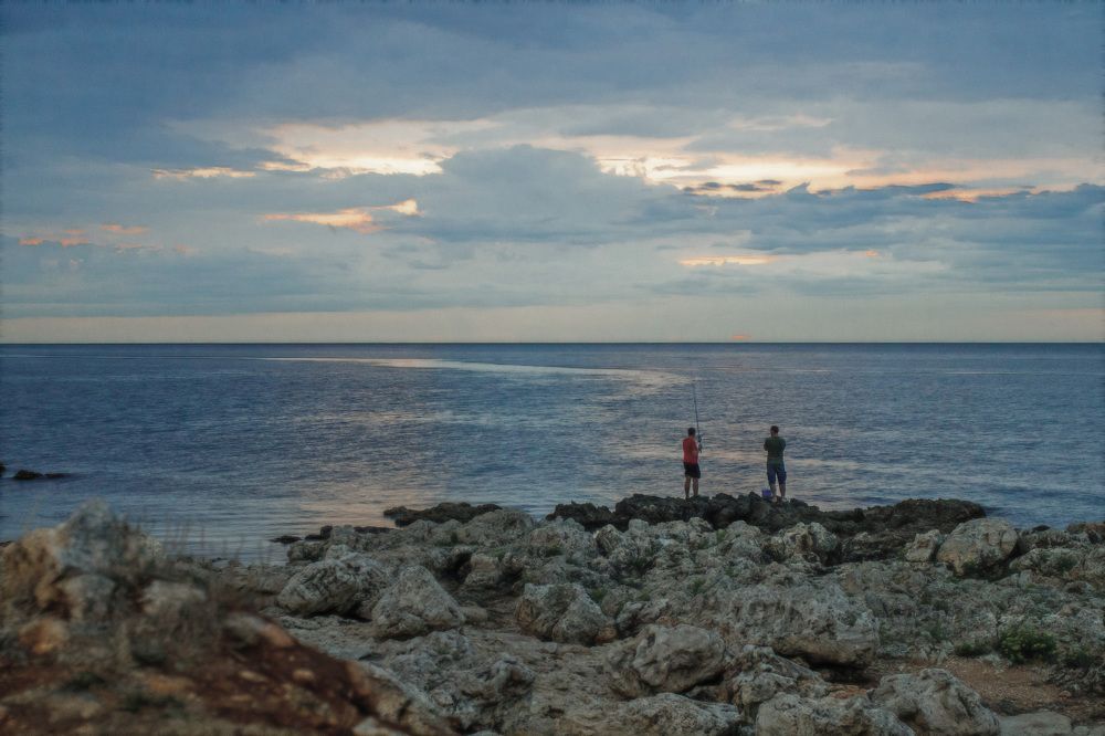 Photograph by Александр Стрельченко