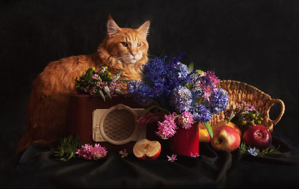 Photograph by Зацаринная Мария