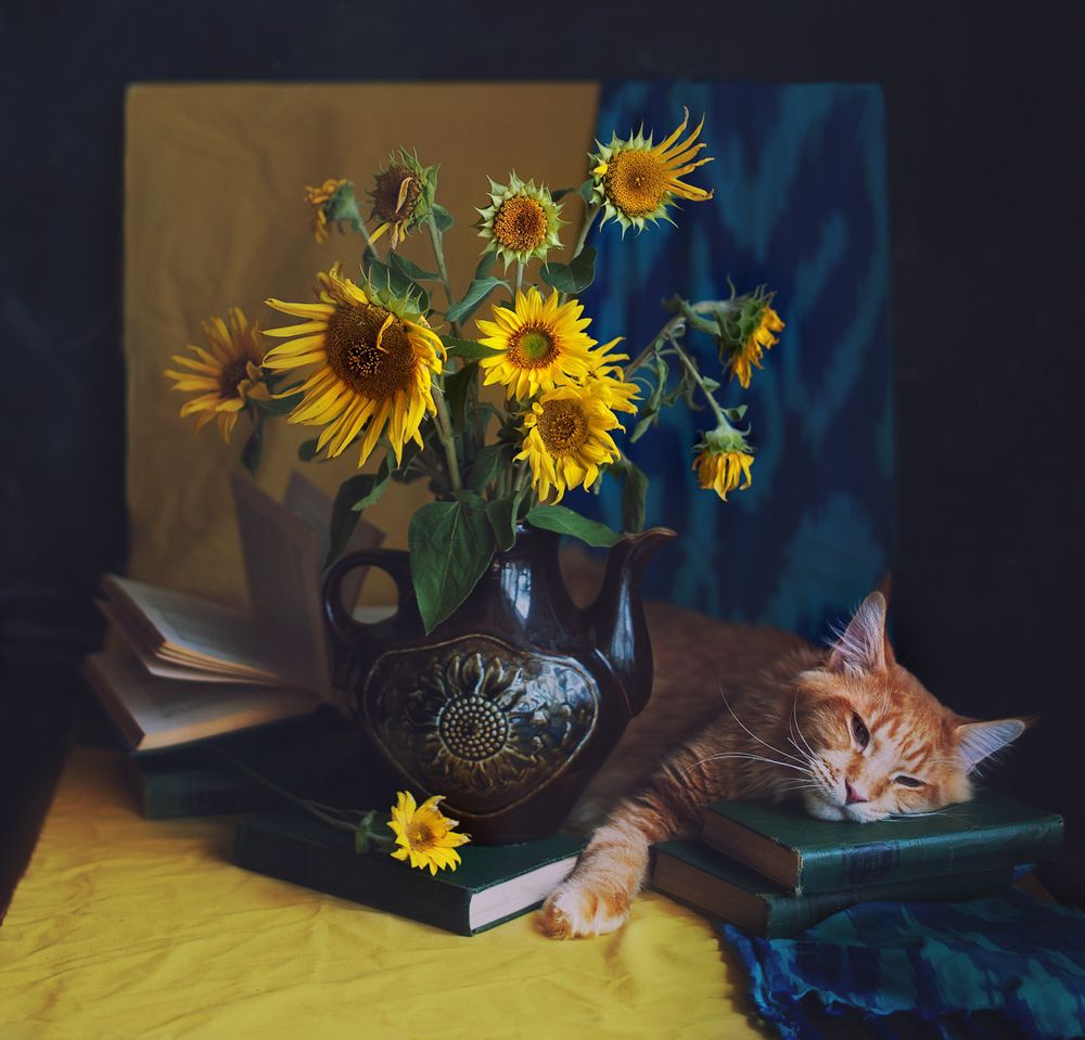 Photograph by Зацаринная Мария