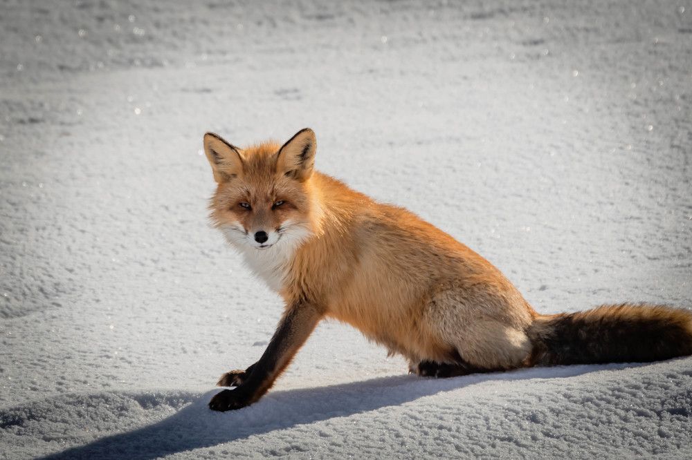 Photograph by Galina